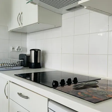 Les Obiones Lumineux à 150 M De La Appartement *