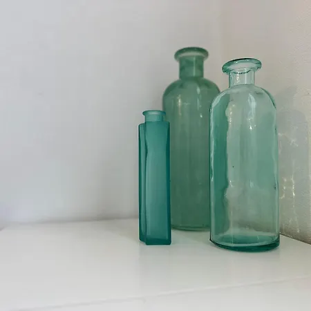 Les Obiones Lumineux à 150 M De La Appartement *