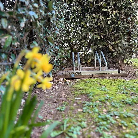 Les Obiones Lumineux à 150 M De La * Cayeux-sur-Mer